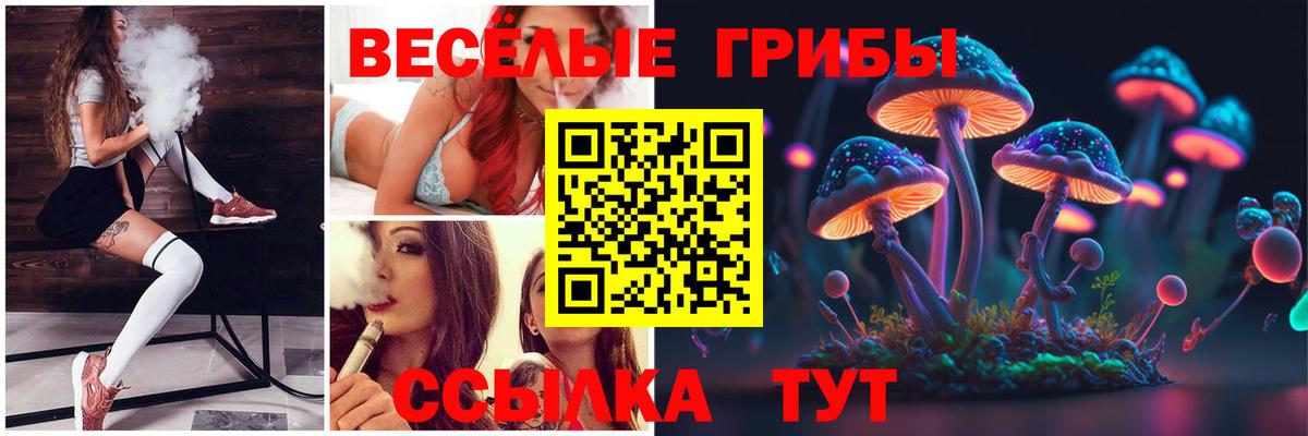 Заволжье  купить наркотик  Галлюциногенные грибы мицелий  Вход с VPN  Псилоцибиновые грибы Cubensis 